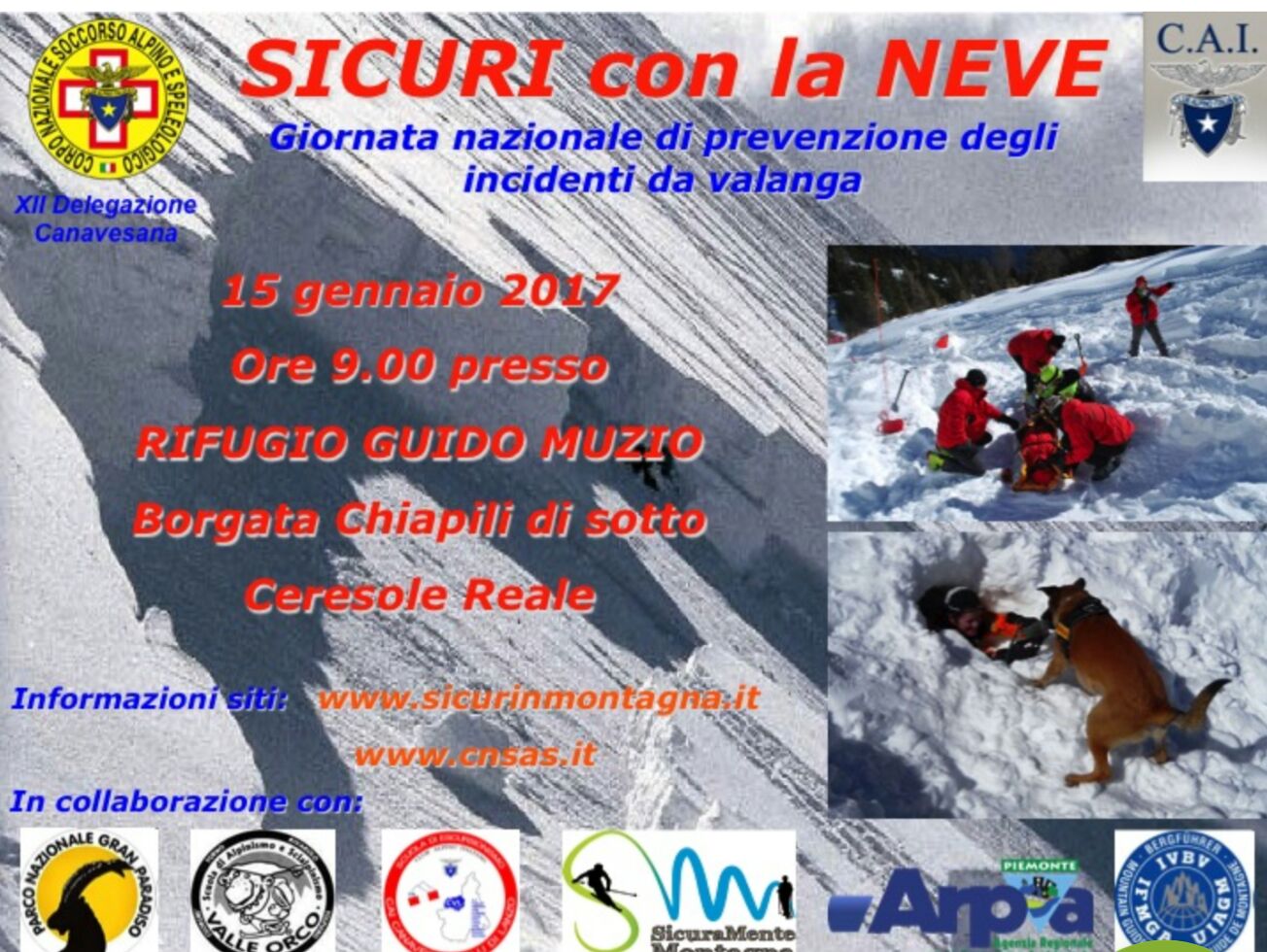 sicurineve