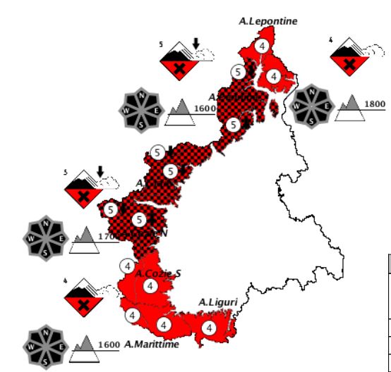 arpa8