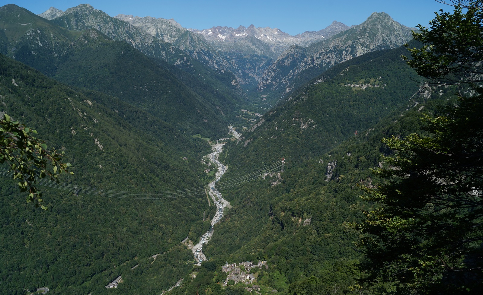 vallesoana