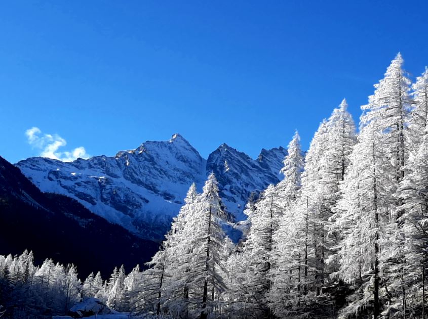 ceresole