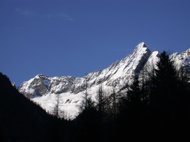 image10