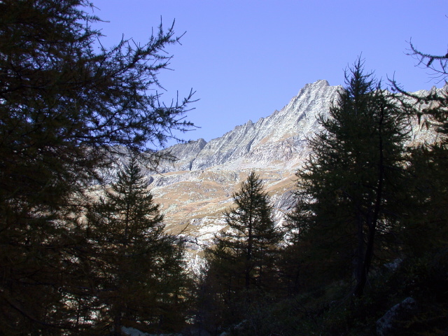 image9