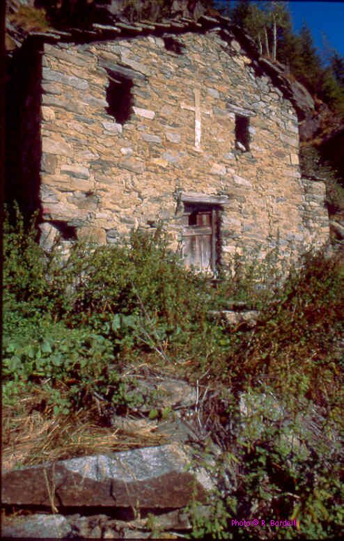 image7