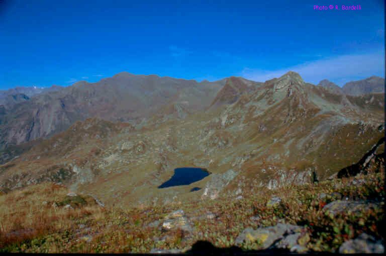 image8