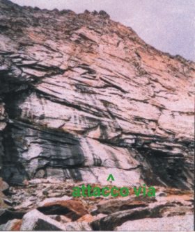 ADRILAV.jpg (30436 byte)
