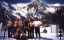 album C.Borra '99