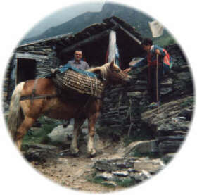 Balma2.JPG (13243 byte)