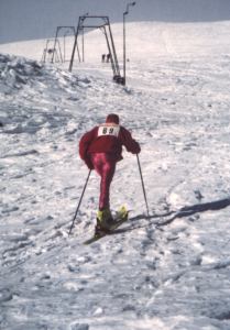 C20.jpg (14843 byte)