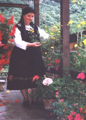 COSTUM.jpg (24657 byte)