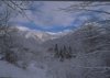 Nivolastro: inverno