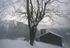 Andorina: magia di un mattino