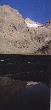 TREKPN7.jpg (14446 byte)