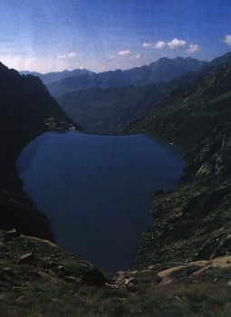 TREKPN8.jpg (13786 byte)