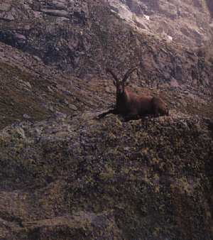 TREKPN9.jpg (17756 byte)