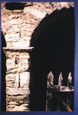 archi.jpg (21559 byte)