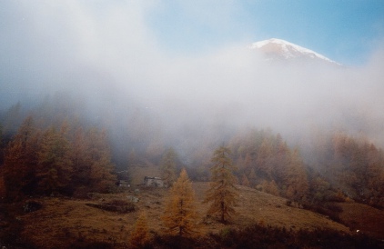 autumn2.jpg (35215 byte)