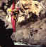 canoa1m.JPG (1638 byte)