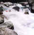 cansoanam.JPG (1388 byte)