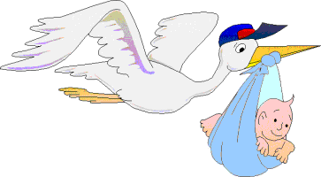 cicogna1.gif (9407 byte)