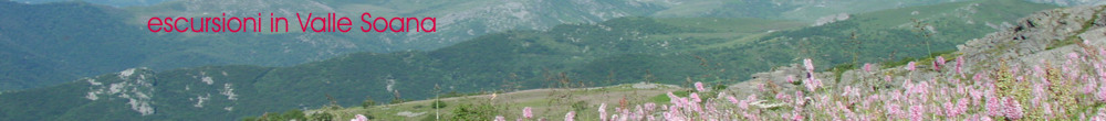 escursionismo_banner.jpg (48019 bytes)
