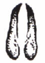 orm2.JPG (3063 byte)