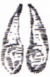 ormcapr.JPG (4882 byte)