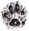 ormfaina.JPG (4139 byte)
