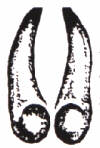 ormstamb.JPG (4632 byte)