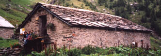 vandest.JPG (12683 byte)
