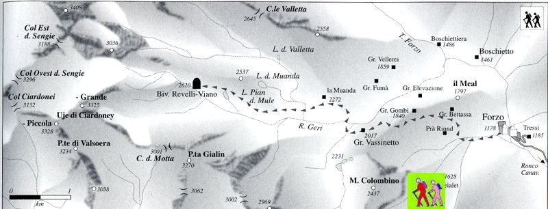 vasirevelli.JPG (17284 byte)