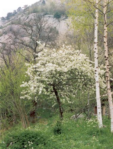 image4