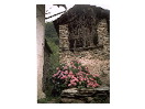 thumbnail1