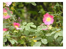 thumbnail6