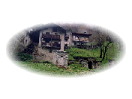 thumbnail1