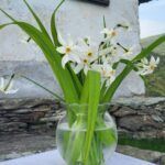 Amici di San Bernardo: immagini della FESTA DI PRIMAVERA di Sabato 23 maggio 2026