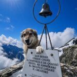 Argo ritorna tra i monti … con Dario al colle Arietta m.2939