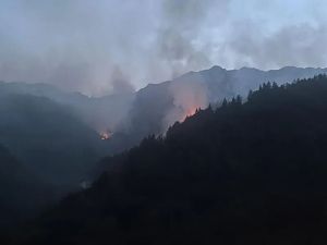 VALLE SOANA – Incendio infinito, non bastano elicotteri e canadair: si combatte col fuoco da più di cinque giorni tratto da Quotidiano Canavese