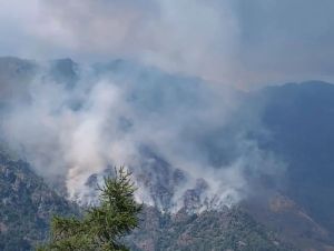 Vigili del fuoco e Aib al lavoro per contrastare gli incendi boschivi in alta quota tratto da Quotidiano Canavese