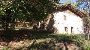 Alpe Perorus